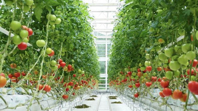 10家!浙江首批&ldquo;未來農(nóng)場&rdquo;名單公布,有你去過的嗎?