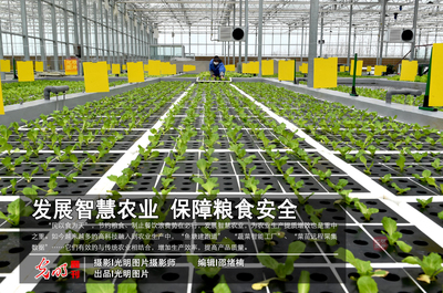 【光明圖刊】發展智慧農業 保障糧食安全