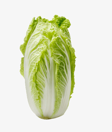 綠色餐桌的藝術 圖精靈免費蔬菜圖片精選與創意應用