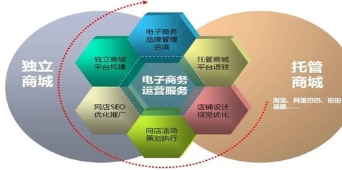 電子商務網站與平臺的全面推廣與精細化運營策略